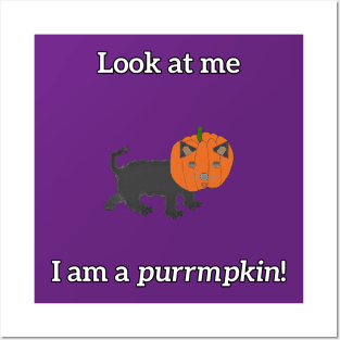 Look at me. I am a purrmpkin! Posters and Art